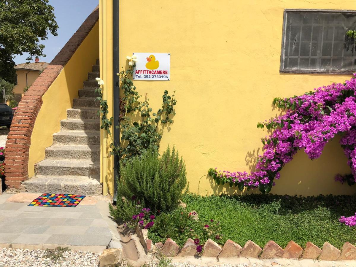 La Nana Gialla Riotorto Exterior photo